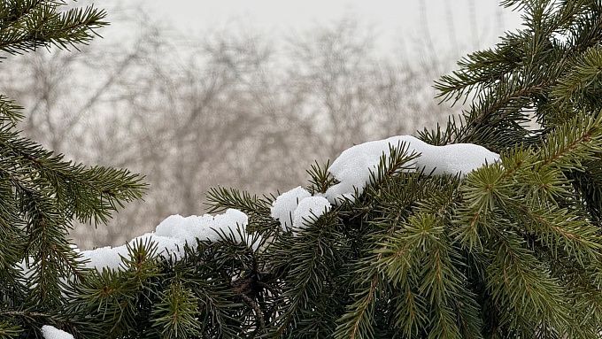 Снег и ветер придут в Бурятию