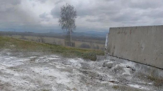 Трупы животных и их останки валялись где попало на скотомогильниках в районе Бурятии