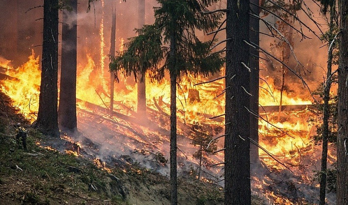 В Бурятии лесные пожары охватили более 5 тысяч га 