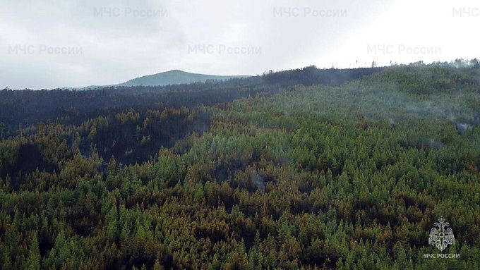 В Бурятии продолжают устранять последствия крупного лесного пожара
