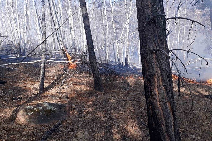 В Бурятии за сутки тушили сразу 7 лесных пожаров