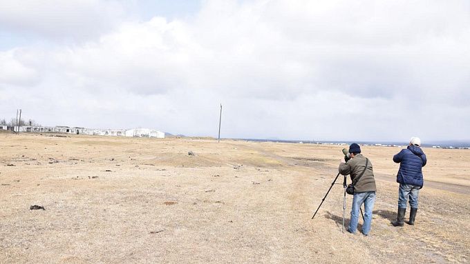 Ученые исследовали места гнездования краснокнижных птиц в нацпарке Бурятии