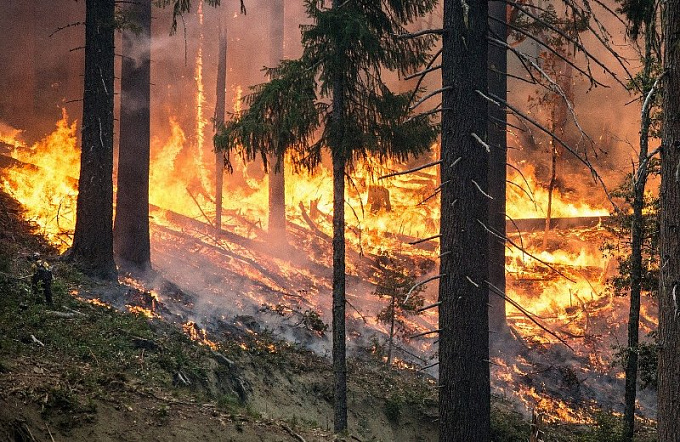 В Бурятии лесной пожар подобрался к Кяхте 