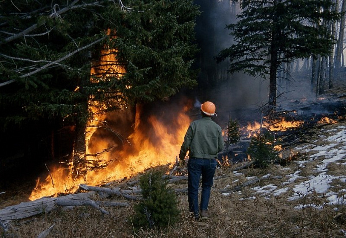 В Бурятии потушили 17 лесных пожаров