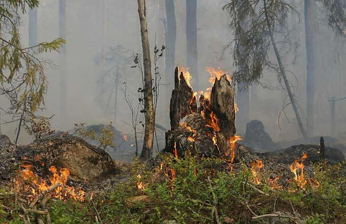 В Бурятии зафиксировано пять лесных пожаров