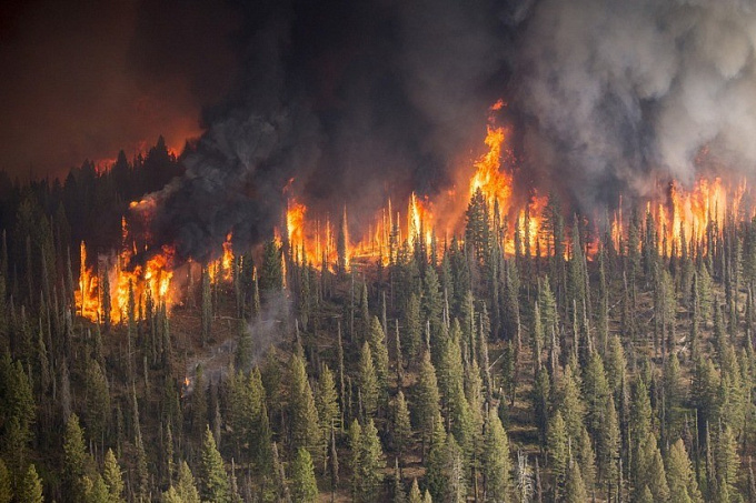 В Бурятии за сутки тушили 13 лесных пожаров