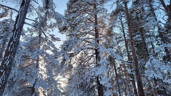 Снегопады, метели и сильный ветер ожидают в Бурятии