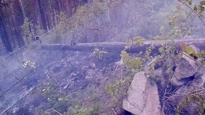 Тайга вспыхнула из-за обрыва ЛЭП в Бурятии