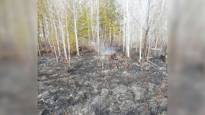 В Бурятии двое рыбаков устроили лесной пожар