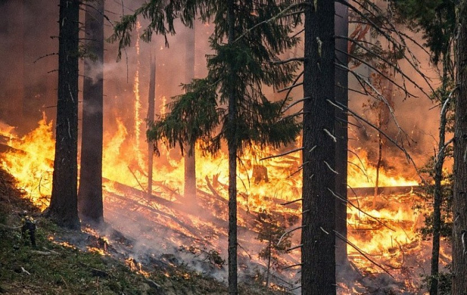 В Бурятии за сутки тушили 8 лесных пожаров