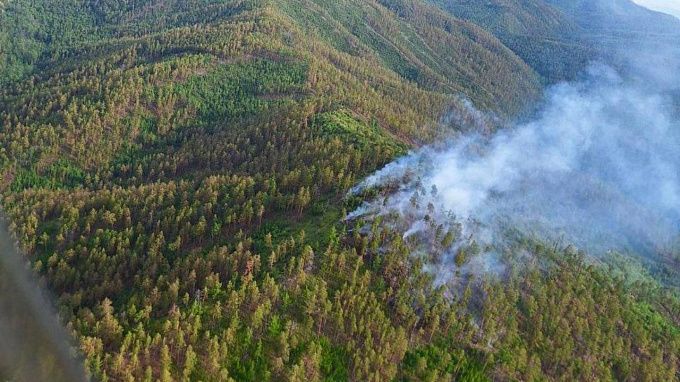 Три труднодоступных пожара тушат в лесах Бурятии