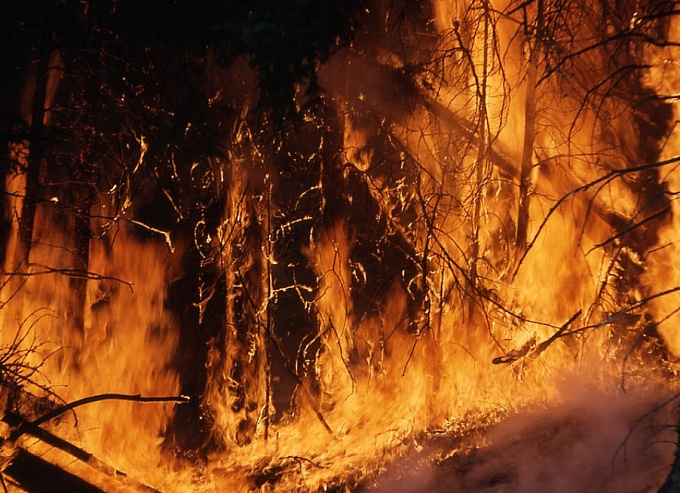 В Бурятию прибывают дополнительные силы на тушение лесных пожаров 