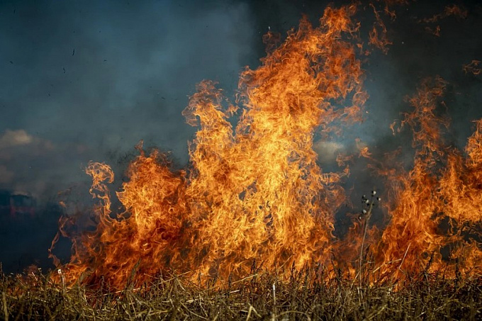 В районе Бурятии сгорело пять гектаров сухой травы