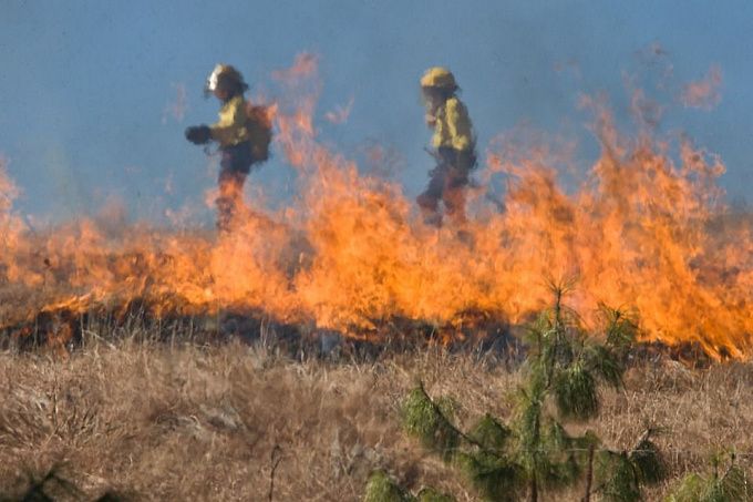 Жители Бурятии заплатят более 1,2 млн штрафов за лесные пожары