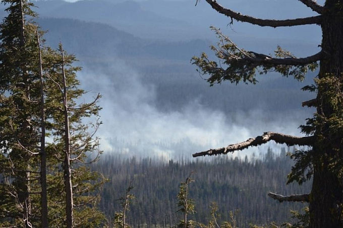 В Бурятии за сутки ликвидирован один лесной пожар