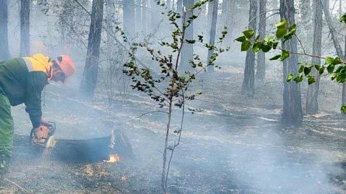 Четыре пожара в труднодоступной местности тушат в Бурятии