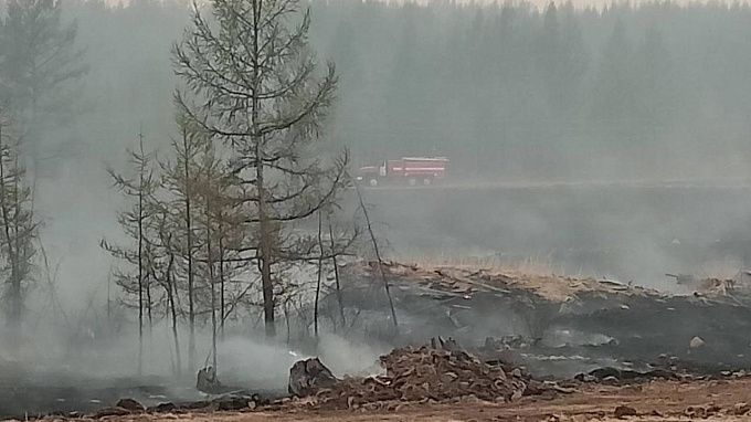 Больше 100 тысяч га тайги горит в Бурятии