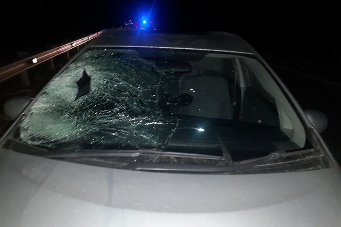 Пьяный пешеход попал под колеса автомобиля в Бурятии
