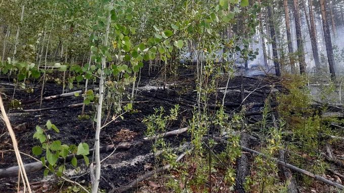 С грозовыми пожарами борются в Бурятии