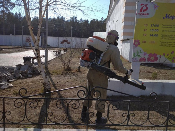 В Улан-Удэ начали обрабатывать парки и скверы от клещей