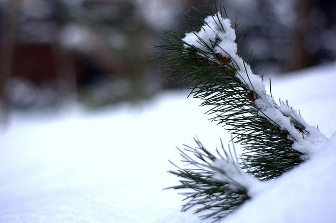 В Бурятии ожидаются снегопады и усиление ветра