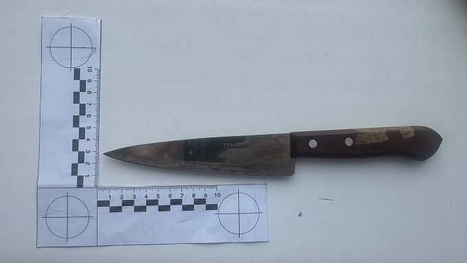 Жительница Бурятии жестоко расправилась с гостем с помощью ножа 