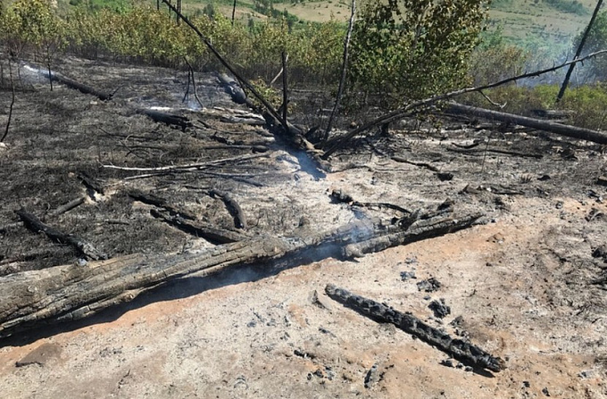 В Бурятии тушат пять лесных пожаров