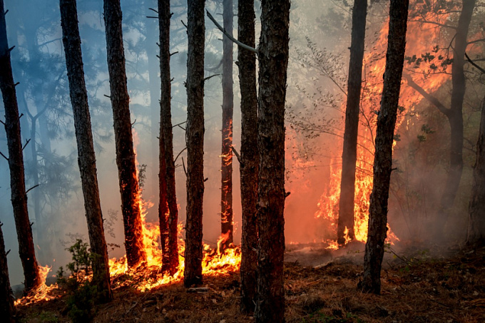 В Бурятии продолжают тушить один лесной пожар