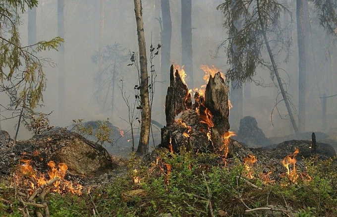 На севере Бурятии по неосторожности сгорело 1,5 гектара леса