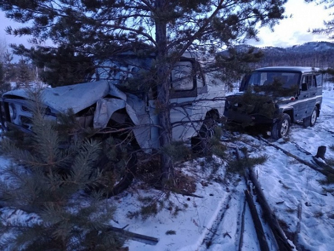 В Бурятии дерево не позволило черным лесорубам уйти от погони