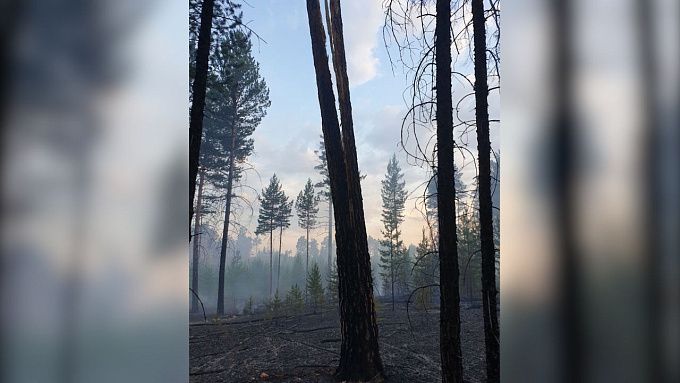 В Бурятии тушили два грозовых пожара в лесах