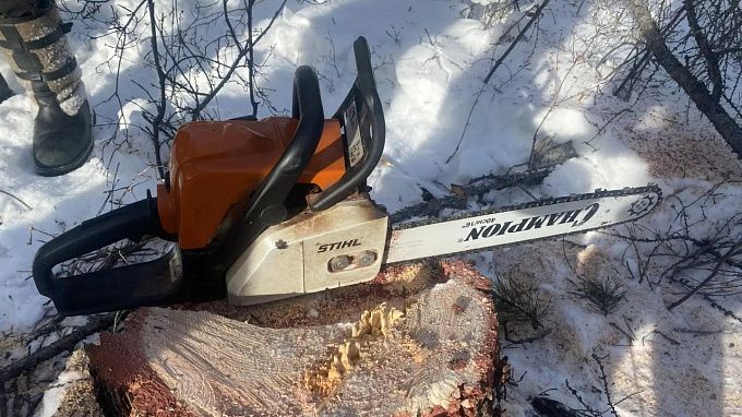 Двух черных лесорубов осудят в Бурятии