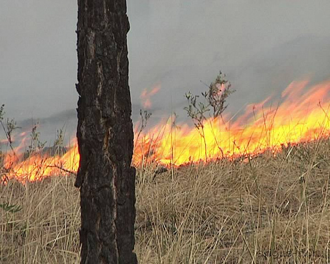 Военные открыли пожароопасный сезон в Улан-Удэ, уничтожив 5 га лесного массива