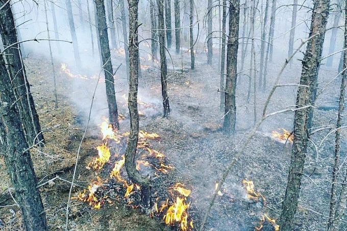 Лесной пожар подобрался к селу в Бурятии