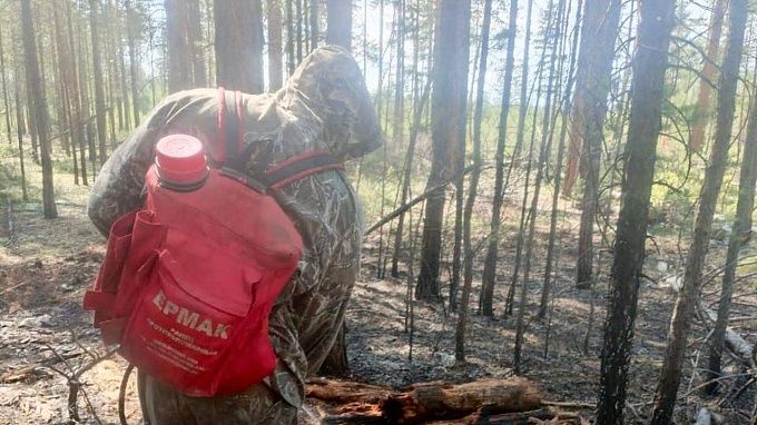 Больше 140 человек тушат 4 лесных пожара в Бурятии