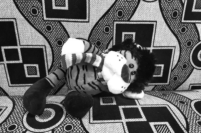 Глава Следкома России поручил проверить информацию об истязании 7 детей в Бурятии