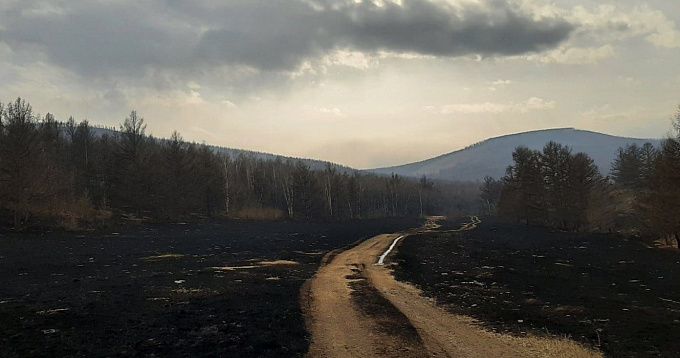 Сгорело 500 гектаров. В Бурятии 200 человек вышли на борьбу с крупным лесным пожаром