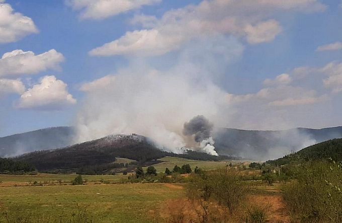 В Бурятии 237 человек тушат крупный лесной пожар