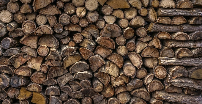 Жители Бурятии могут забрать древесину с лесосек (ОБНОВЛЕНО)