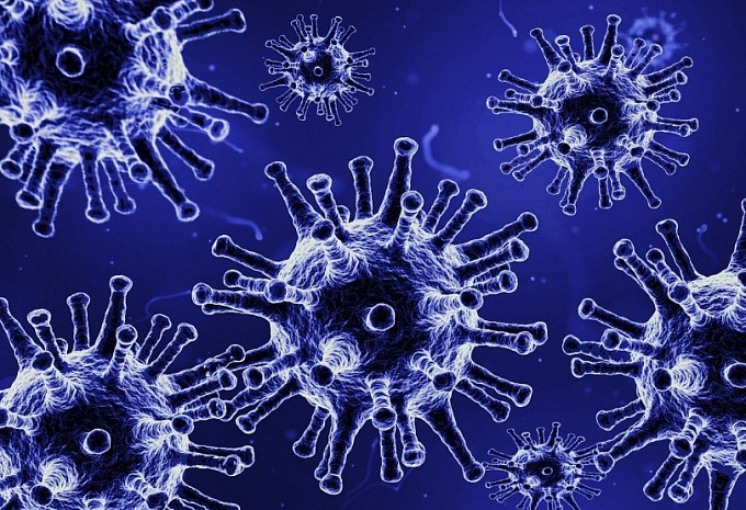 Число зараженных коронавирусом в Бурятии выросло до 736