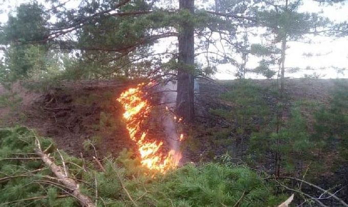 В Бурятии с лесными пожарами борются больше 500 человек