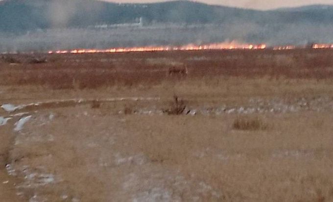 В Бурятии по вине человека сгорело 7 гектаров сухой травы