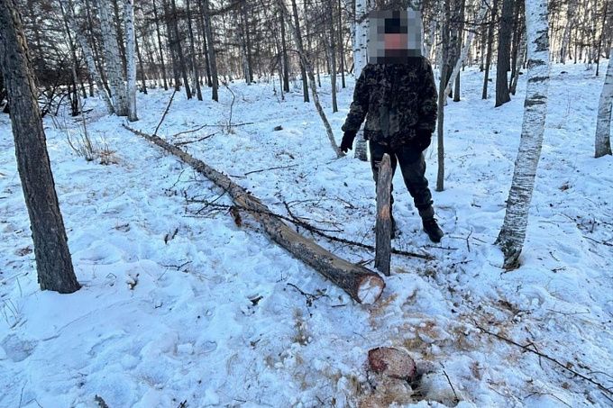 В Бурятии осудили мужчину, который стал причиной смерти своего коллеги