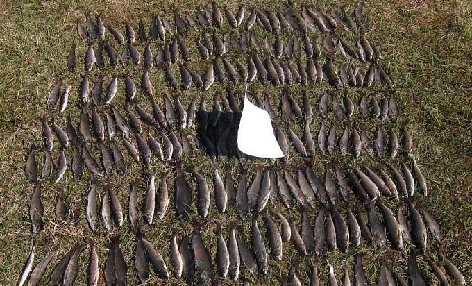 800 тысяч ущерба: В Бурятии рыбак поймал на крючок уголовное дело
