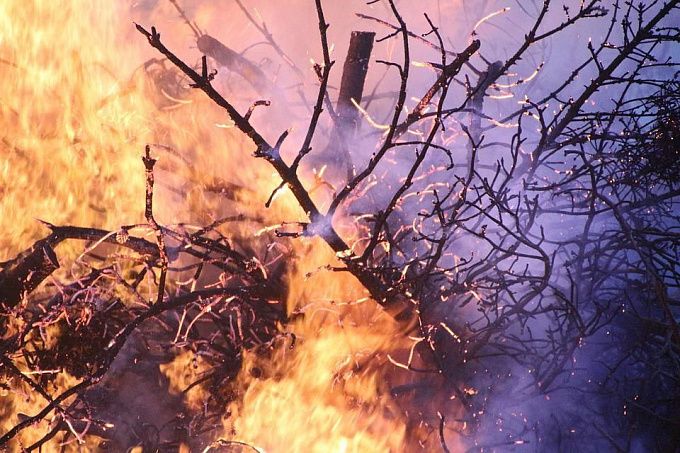 В Бурятии тушили 6 лесных пожаров, возникших по вине человека