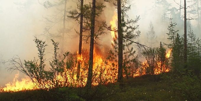 Бурятия получит средства для восполнения затрат на борьбу с лесными пожарами