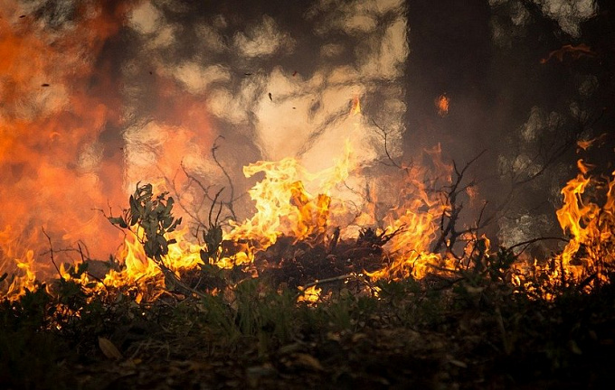 Более 160 человек тушат лесные пожары в Бурятии