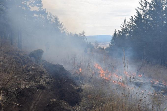 Жителей Бурятии призывают сообщать о возгораниях в лесу