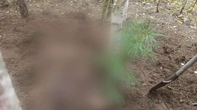 Медведь растерзал двух женщин в Красноярском крае