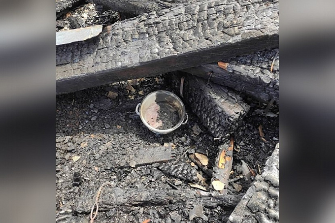 В районе Бурятии неизвестные сожгли гараж, где жили 25 кошек 